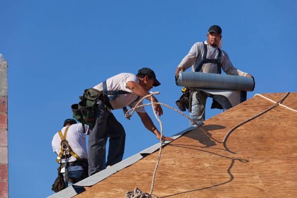 Best Roof Gutter Cleaning  in Elliston, VA