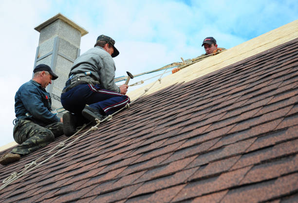Best Local Roofing Companies  in Elliston, VA